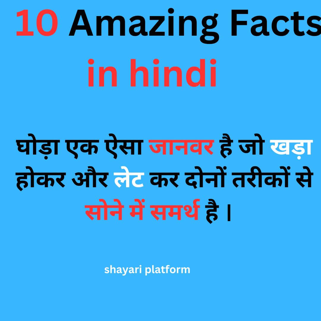 घोडा से जुडी फैक्ट्स ! facts related to horse