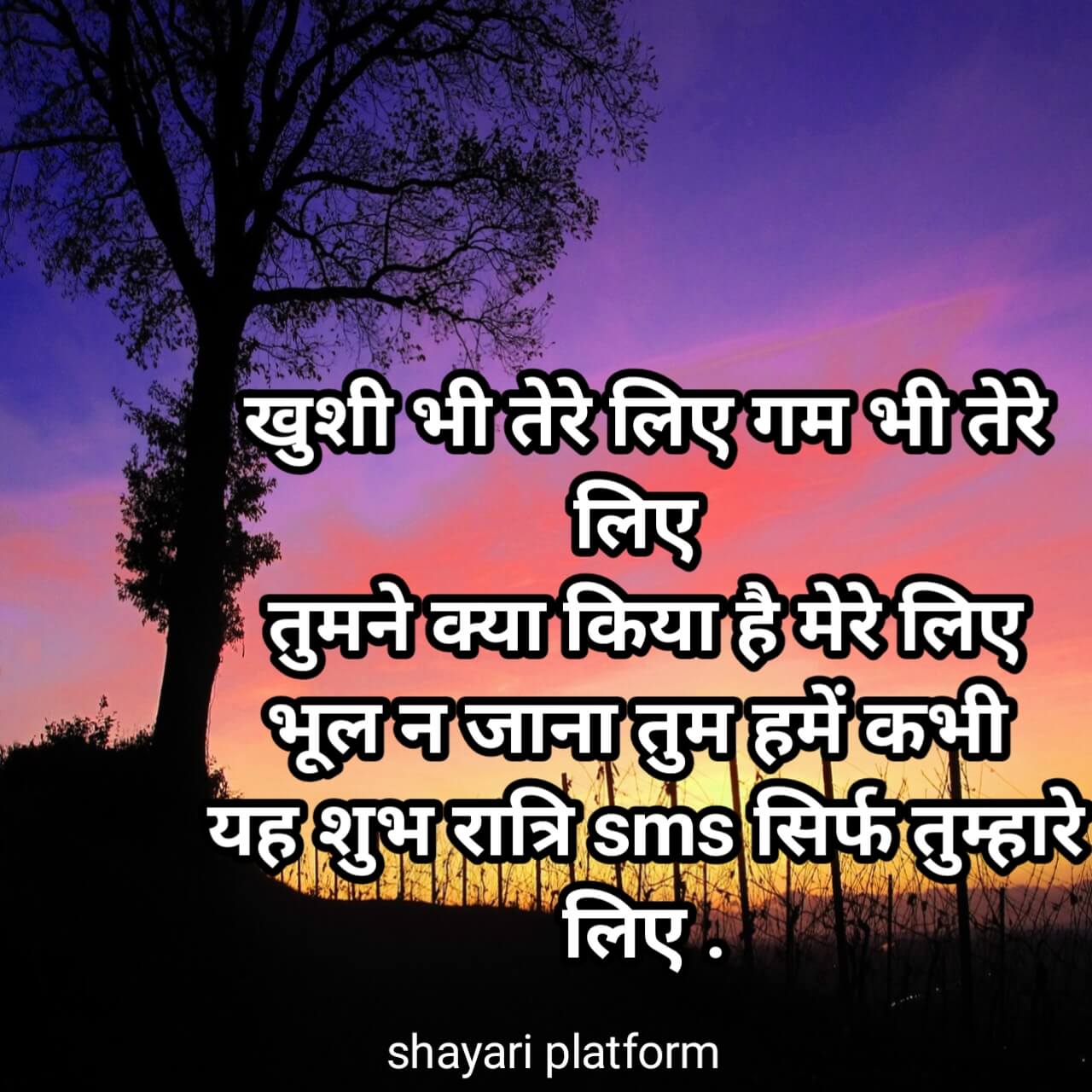 Good night image shayari