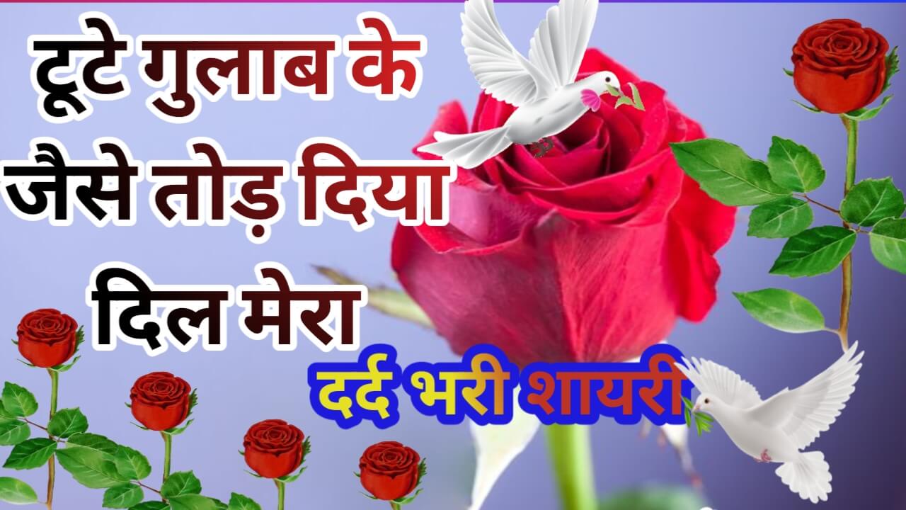 shayari platform 