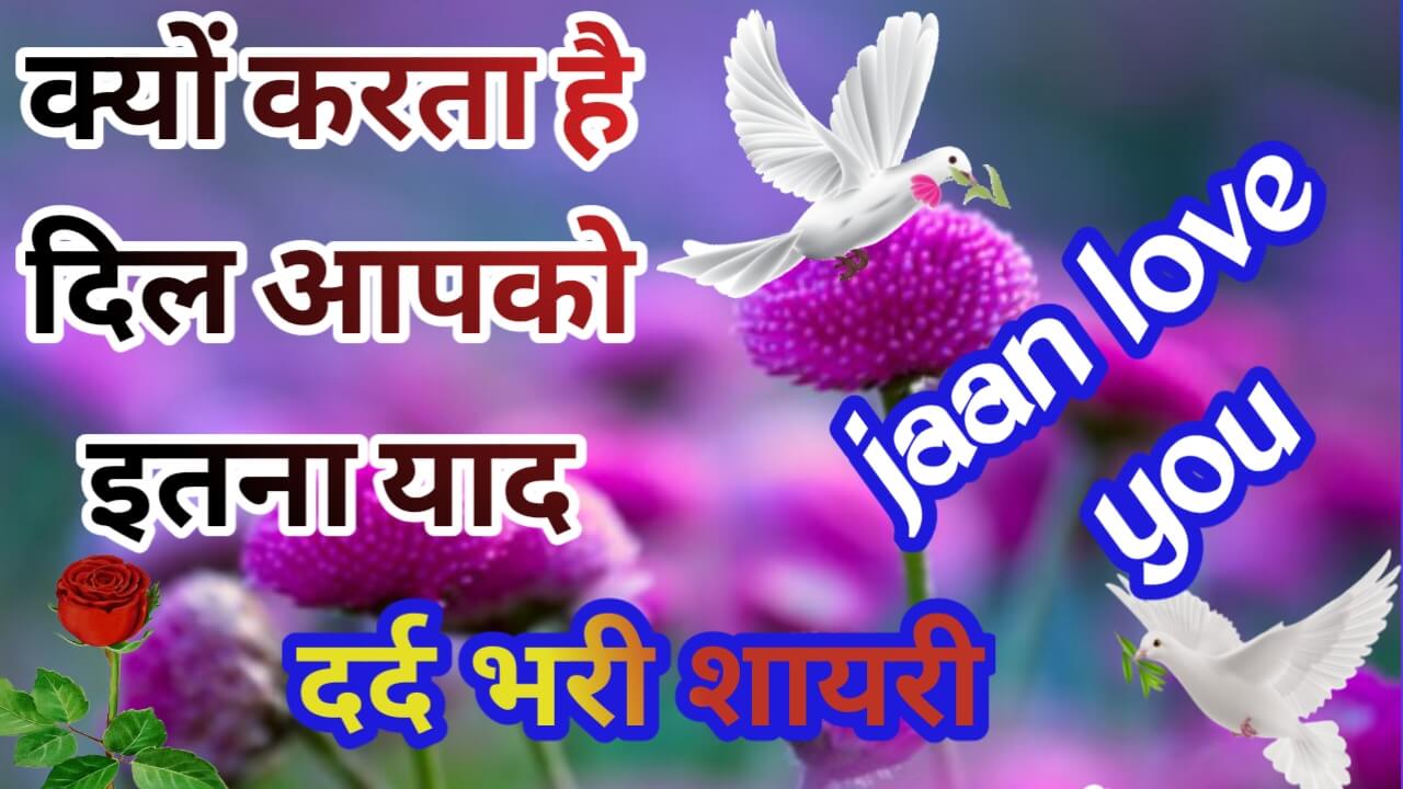 shayari platform 