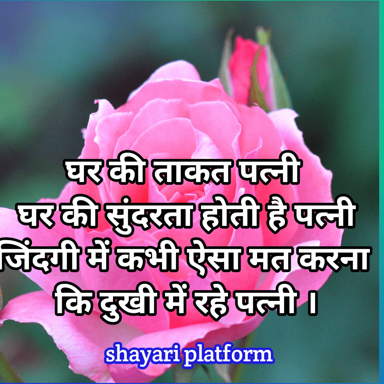 best shayari platform shayari 