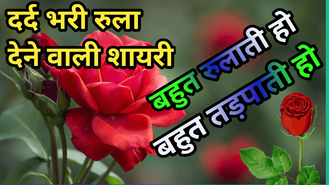 shayari platform 